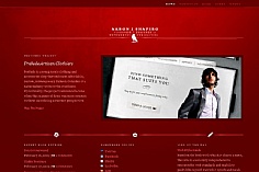 Aaron J. Shapiro web design inspiration