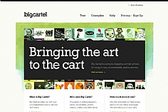 Bigcartel web design inspiration