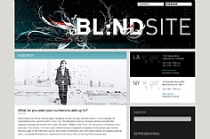 Blind (screenshot)
