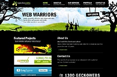 Gecko Webs web design inspiration