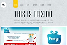 Teixido web design inspiration