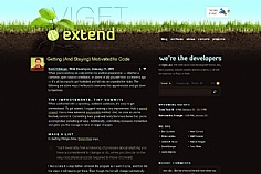 Viget /extend web design inspiration