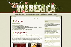 Weberica web design inspiration